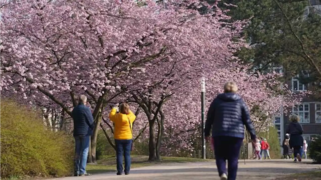 Im Norden und Nordosten macht der Super-Frühling eine Pause