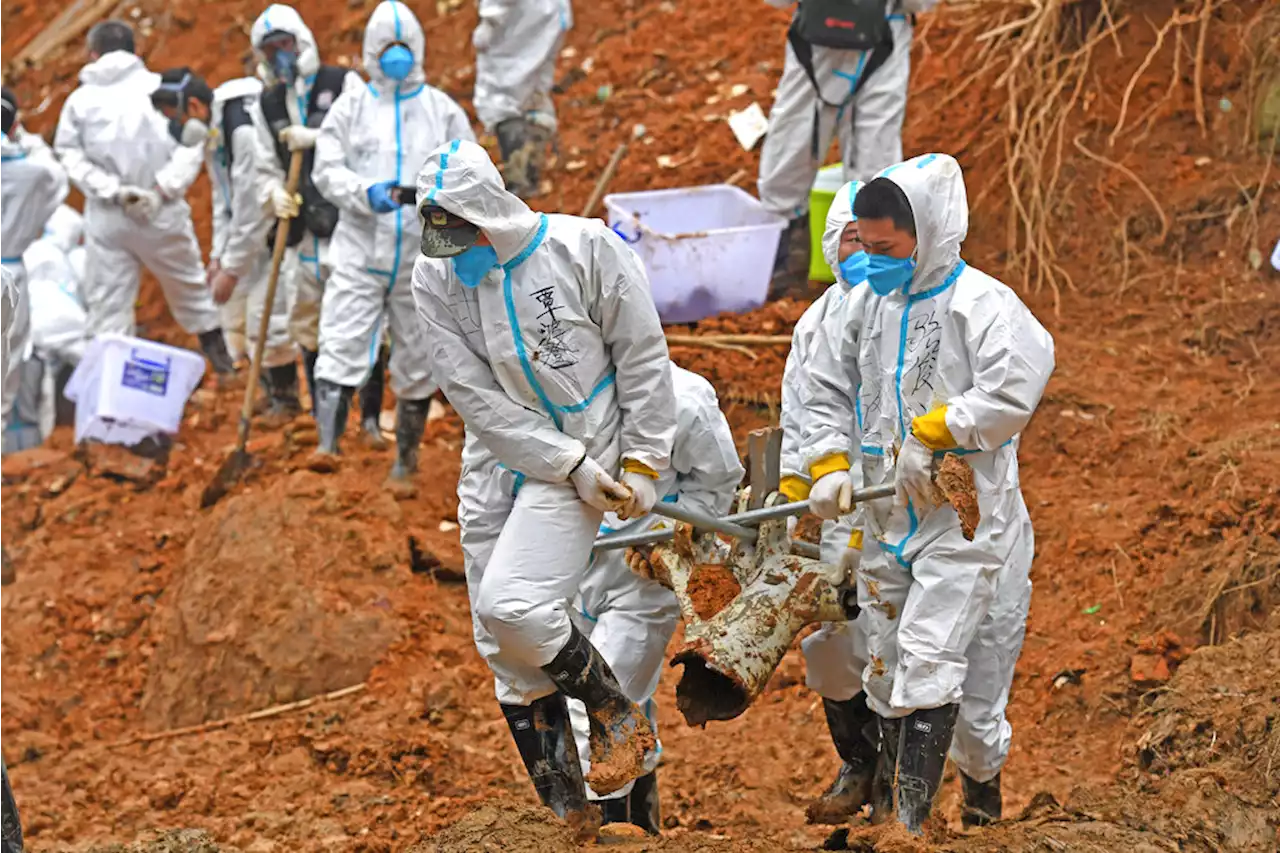 No Survivors in China Eastern Plane Crash With 132 On Board