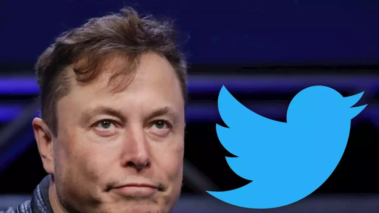 Elon Musk Suggests New Platform Needed In Place of Twitter, Posts Poll