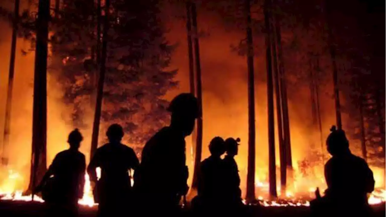 6 wildfire terms to understand, from red flag warning to 100% containment