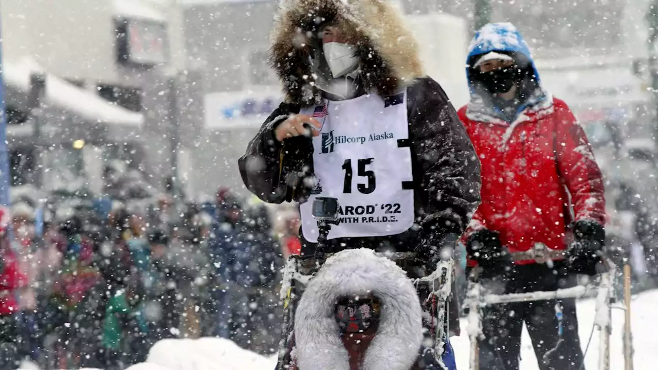 Iditarod punishes 3 mushers for sheltering dogs in windstorm