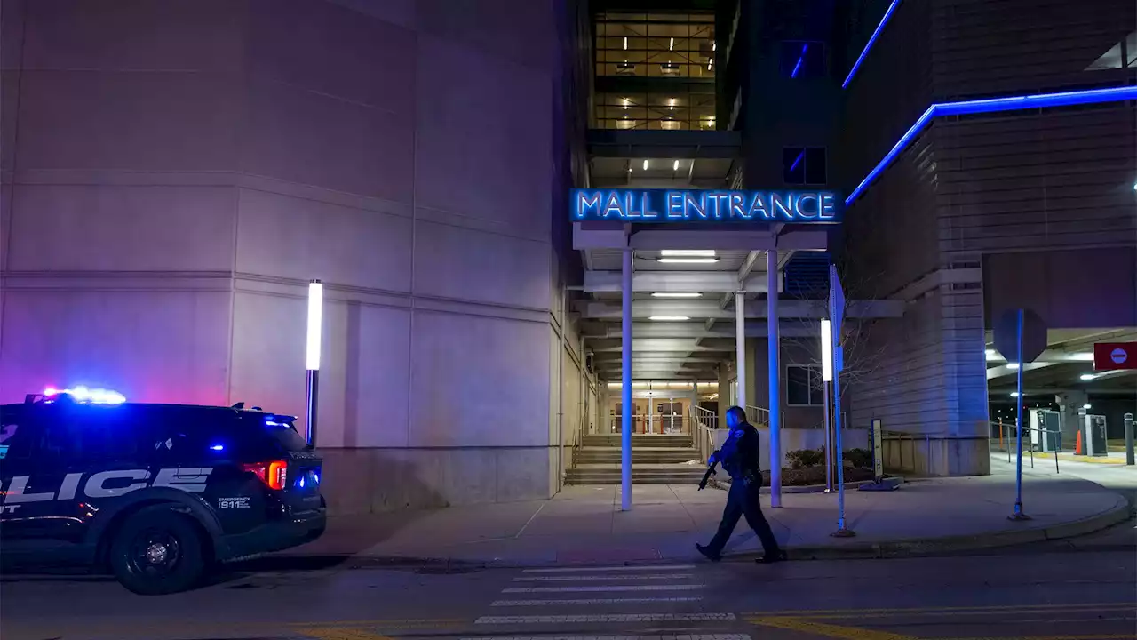 Shooting at Suburban Chicago Shopping Mall Kills 1, Wounds 2