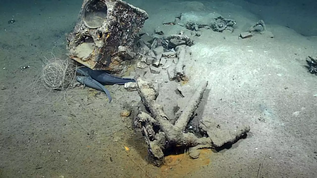 Wreck of only sunken Gulf whaler discovered 190 years later