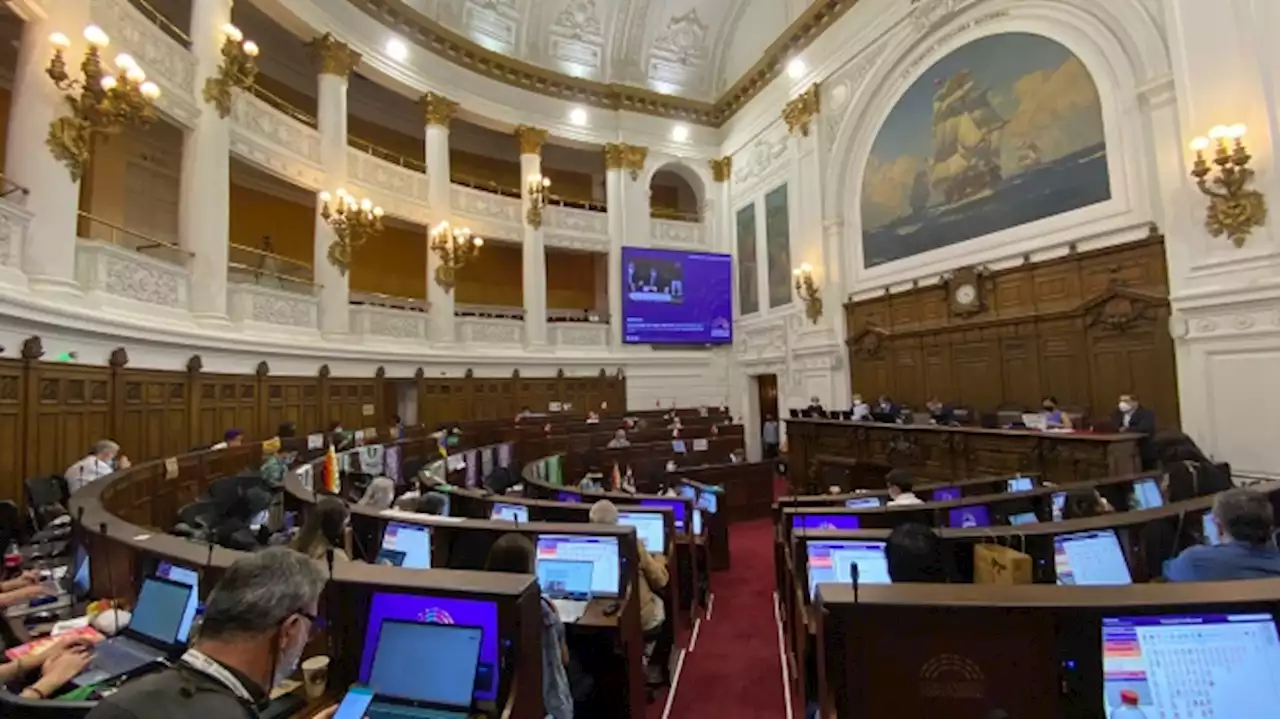 Chile se convertiría en el segundo país en reconocer los derechos de los animales