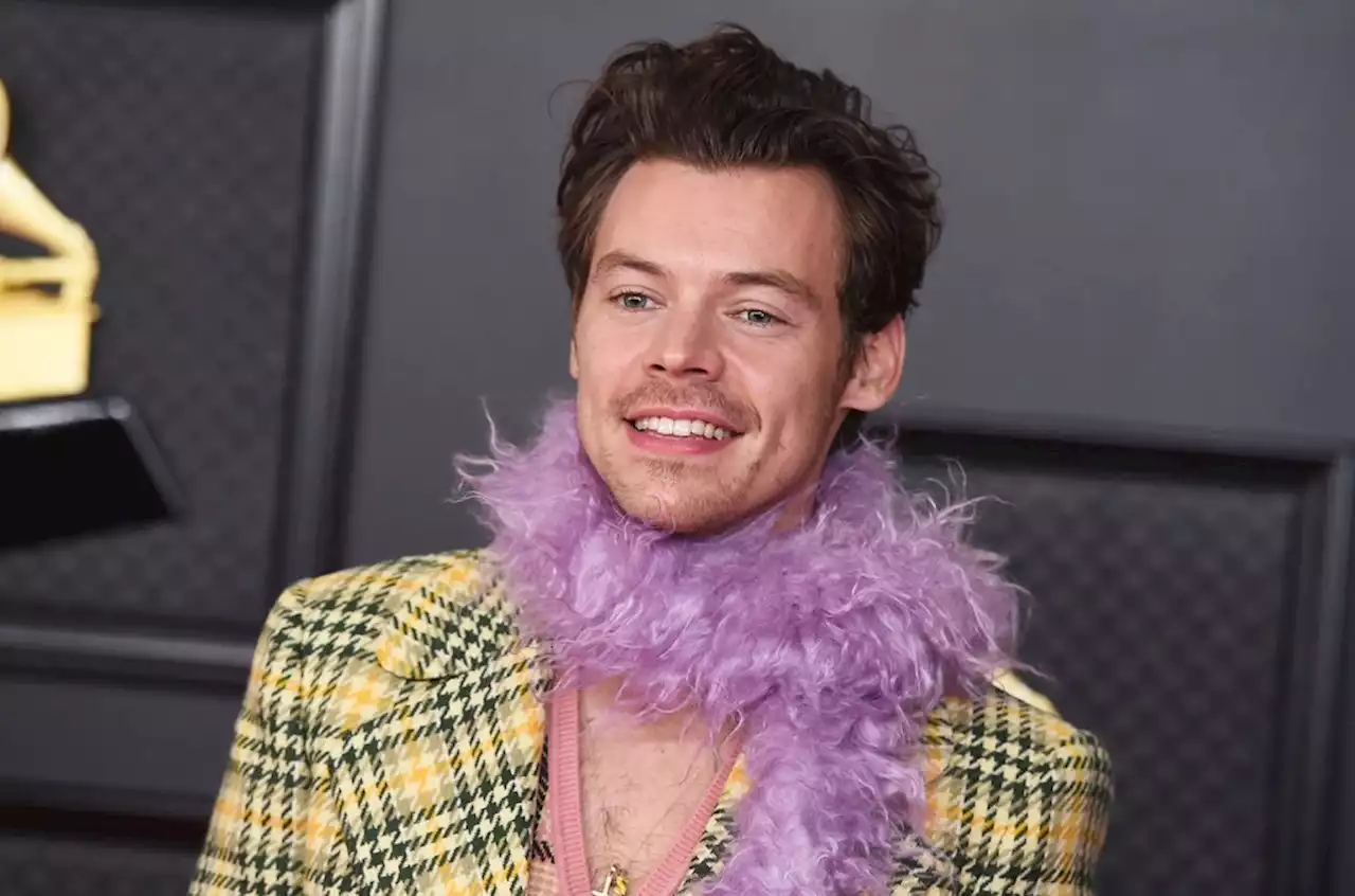 Which Harry Styles Hot 100 Hit Is Your Favorite? Vote!