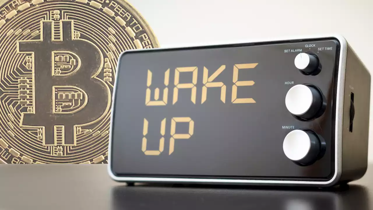 81.79 'Sleeping Bitcoin' From 2011 Worth $3.6M Moved for the First Time in Over a Decade – Bitcoin News