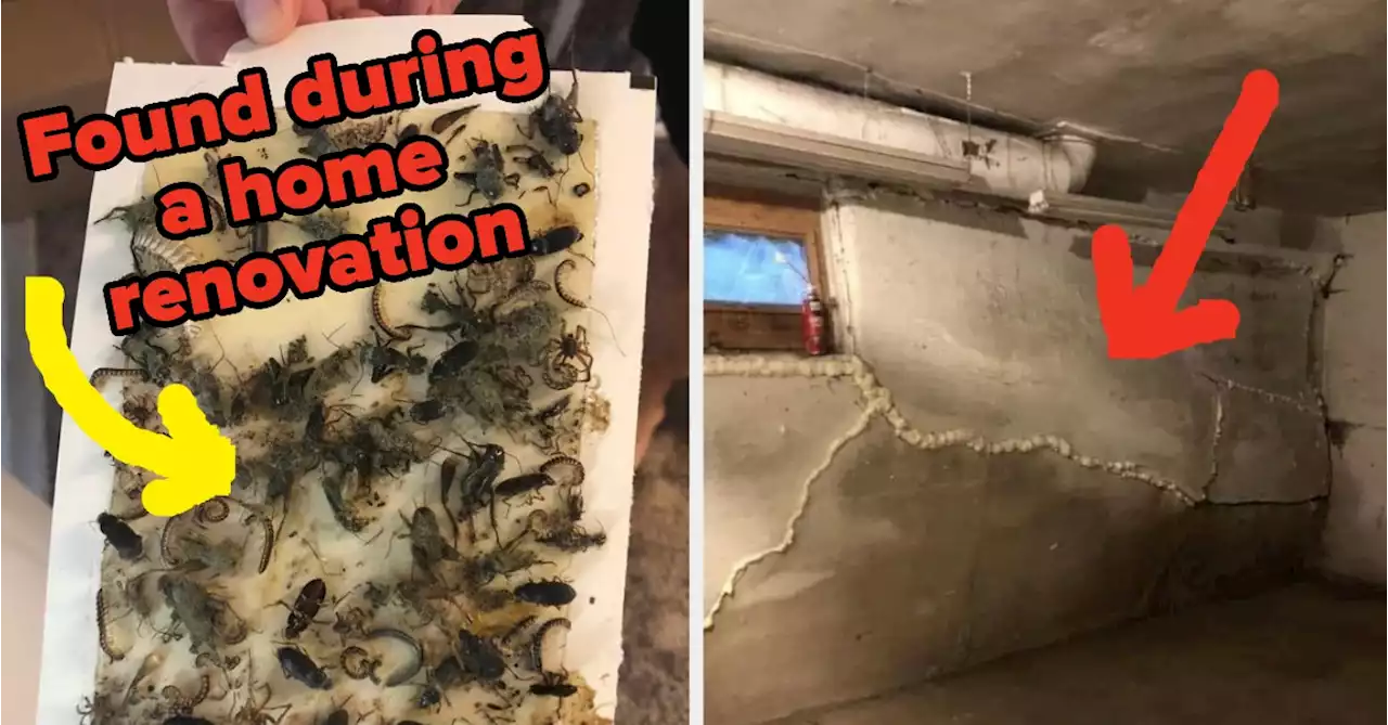 15 Renters And Homeowners Who Deeeefinitely Regret Not Getting A Home Inspection