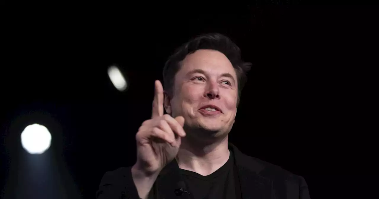 Elon Musk continues to tease a new social media platform to replace Twitter