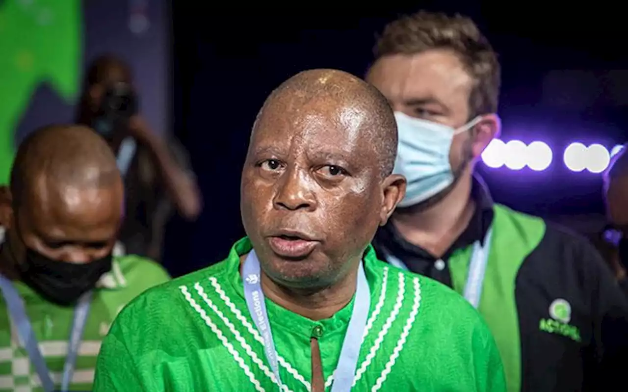 ActionSA’s Mashaba: SA’s immigration laws not as rigid as they should be