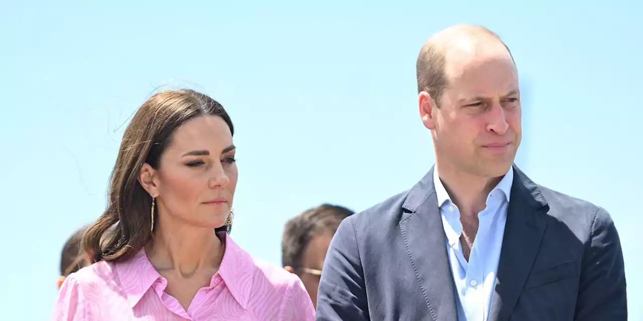 Prince William Reflects on the Future of the Commonwealth