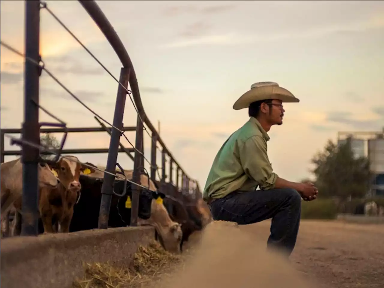 Meet the Chinese Cowboy in Texas defying Asian stereotypes with a southern drawl