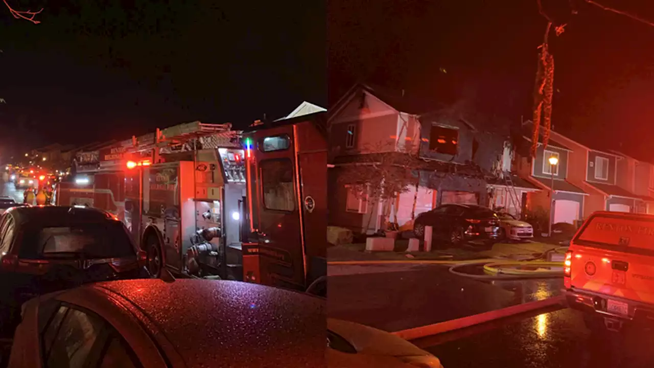 Firefighters rescue cat and lizard in Renton condo fire