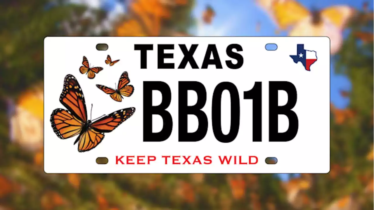 Vanity with a purpose: These 11 Texas license plates aim to aid wildlife, habitat conservation