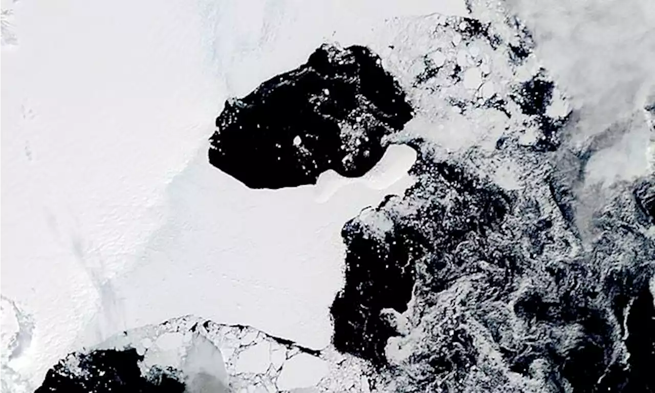 Antarctic ice shelf the size of New York collapses