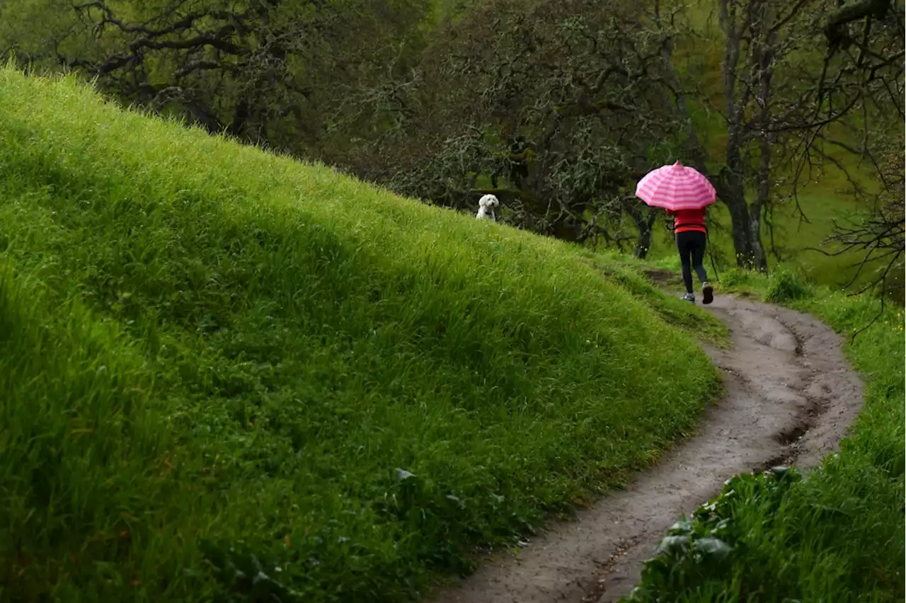 Much-needed rain expected to start falling Sunday night across Bay Area