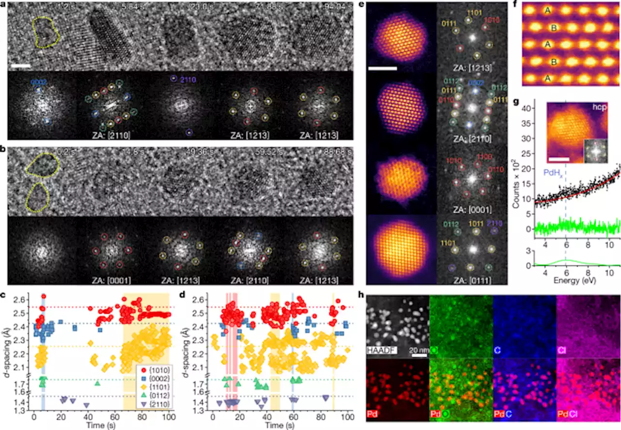 Metastable hexagonal close-packed palladium hydride in liquid cell TEM - Nature