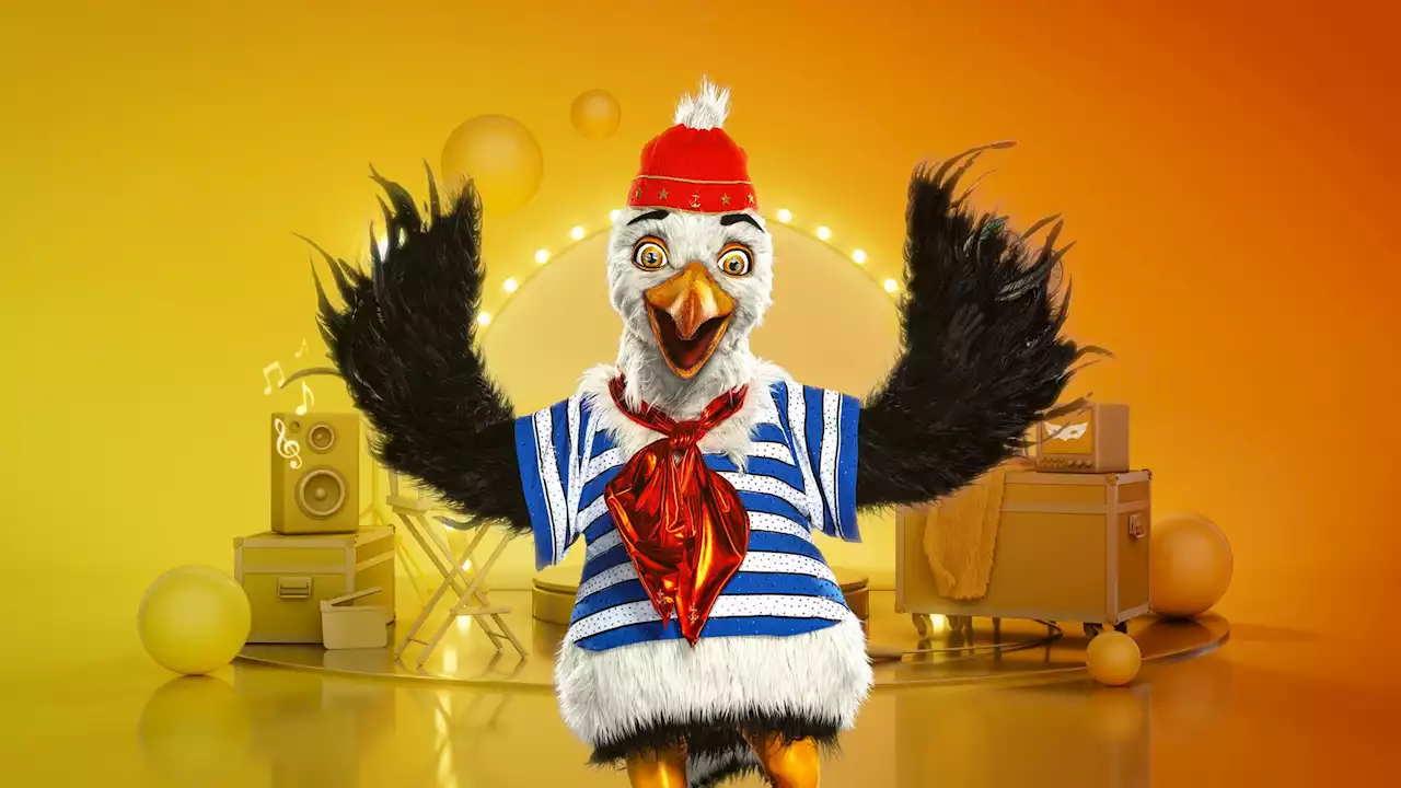 Die 'The Masked Singer'-Möwe ist raus: Er steckte dahinter!