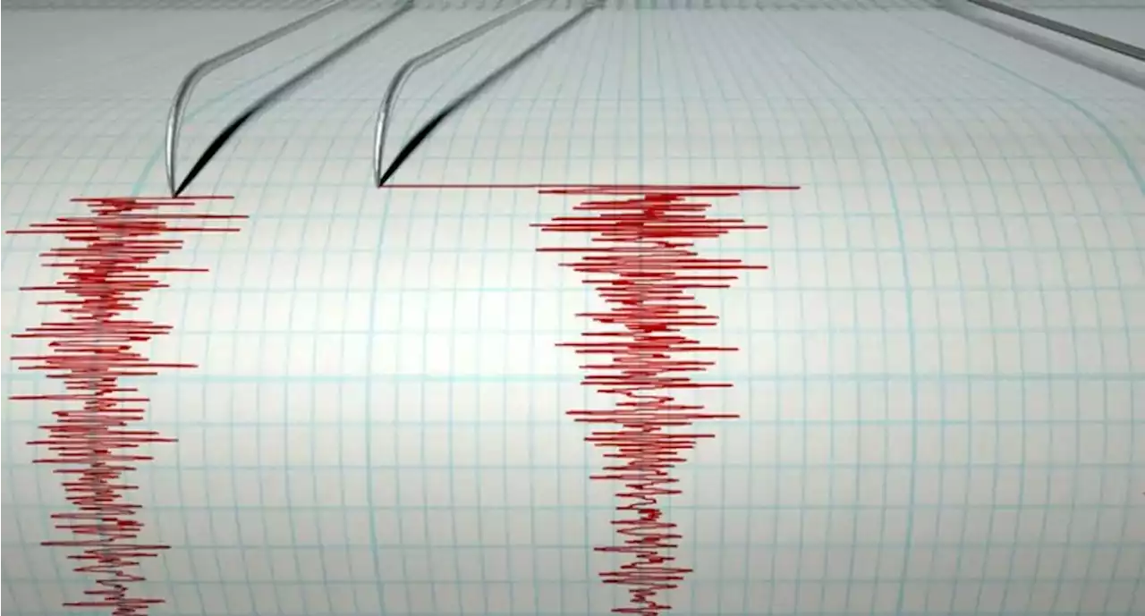 Sismo de magnitud 6 sacude la costa de Ecuador y se siente fuerte en Colombia - Pulzo