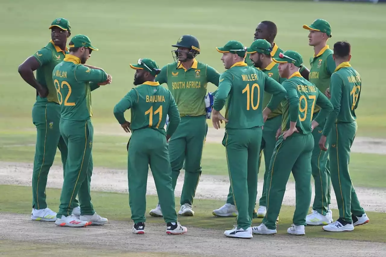 Enough is enough: Proteas fans deserve better than Bangladesh defeat