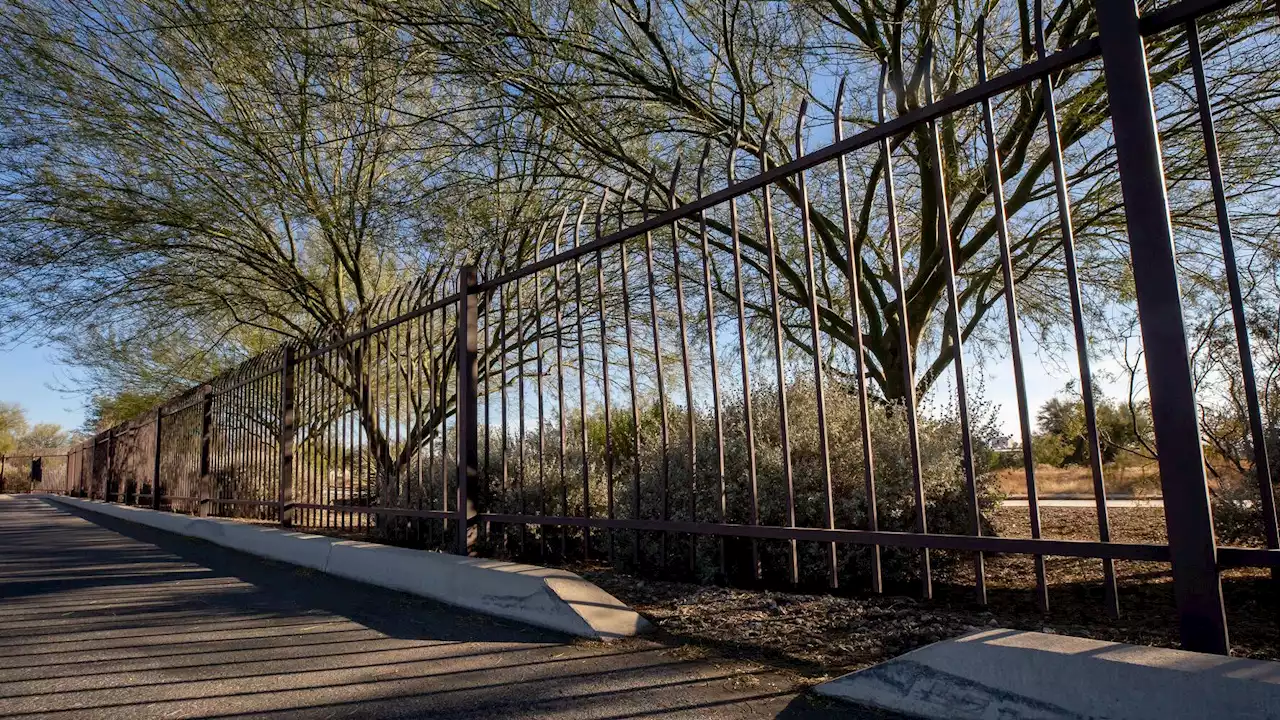 Split Tucson City Council votes to add staff to enforce landscaping water law