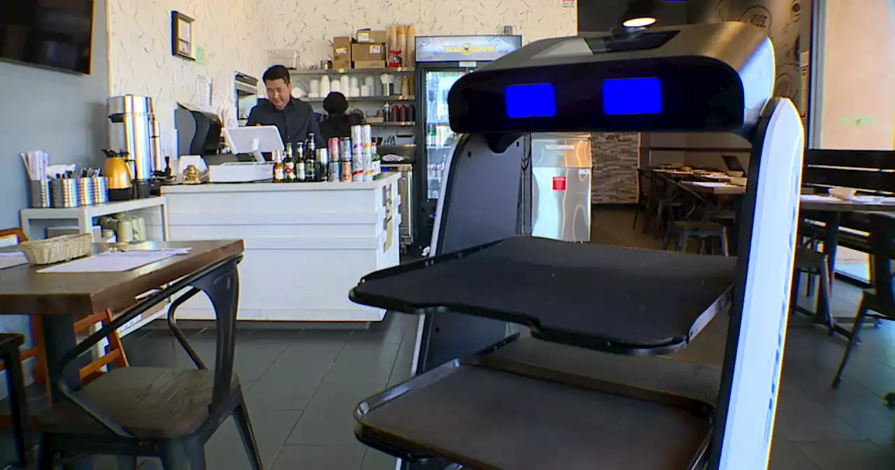 Making It In San Diego: Robot server helps Tofu House restaurant overcome pandemic challenges