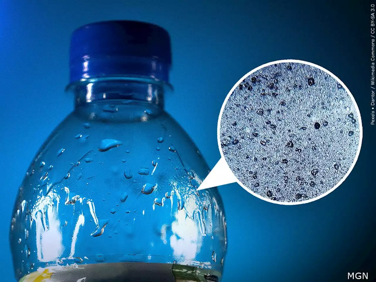 Scientists discover microplastics in human blood for the first time