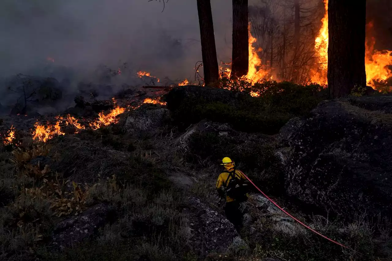 Wildfire chars 450 acres, threatens area in Shelby County