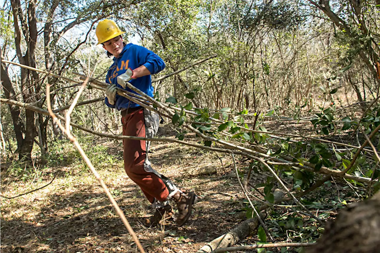 Growing Program Creates Green Jobs, Maintains Underserved Parks