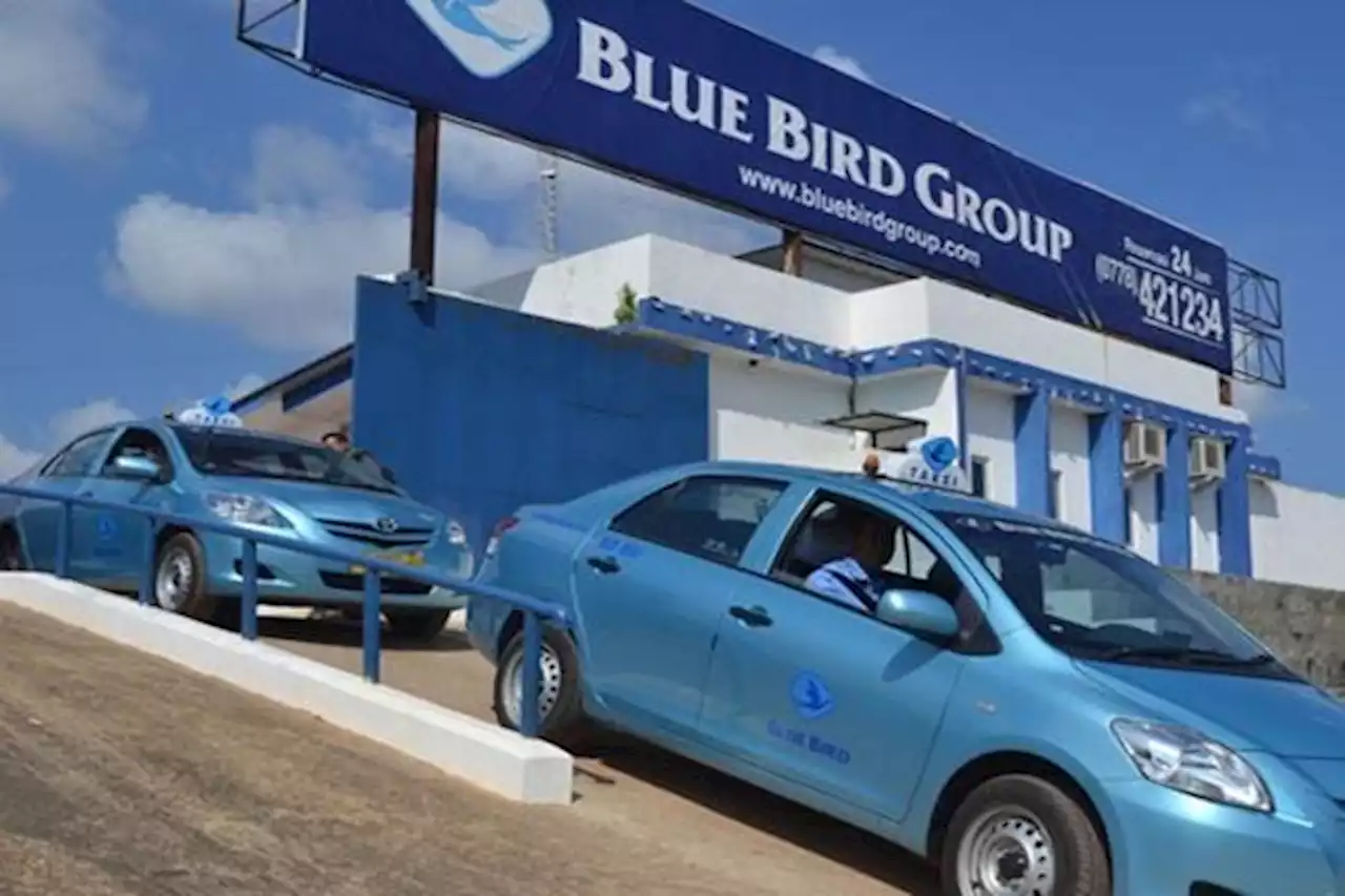 PPN 11 Persen, Begini Dampaknya ke Blue Bird (BIRD) | Market - Bisnis.com