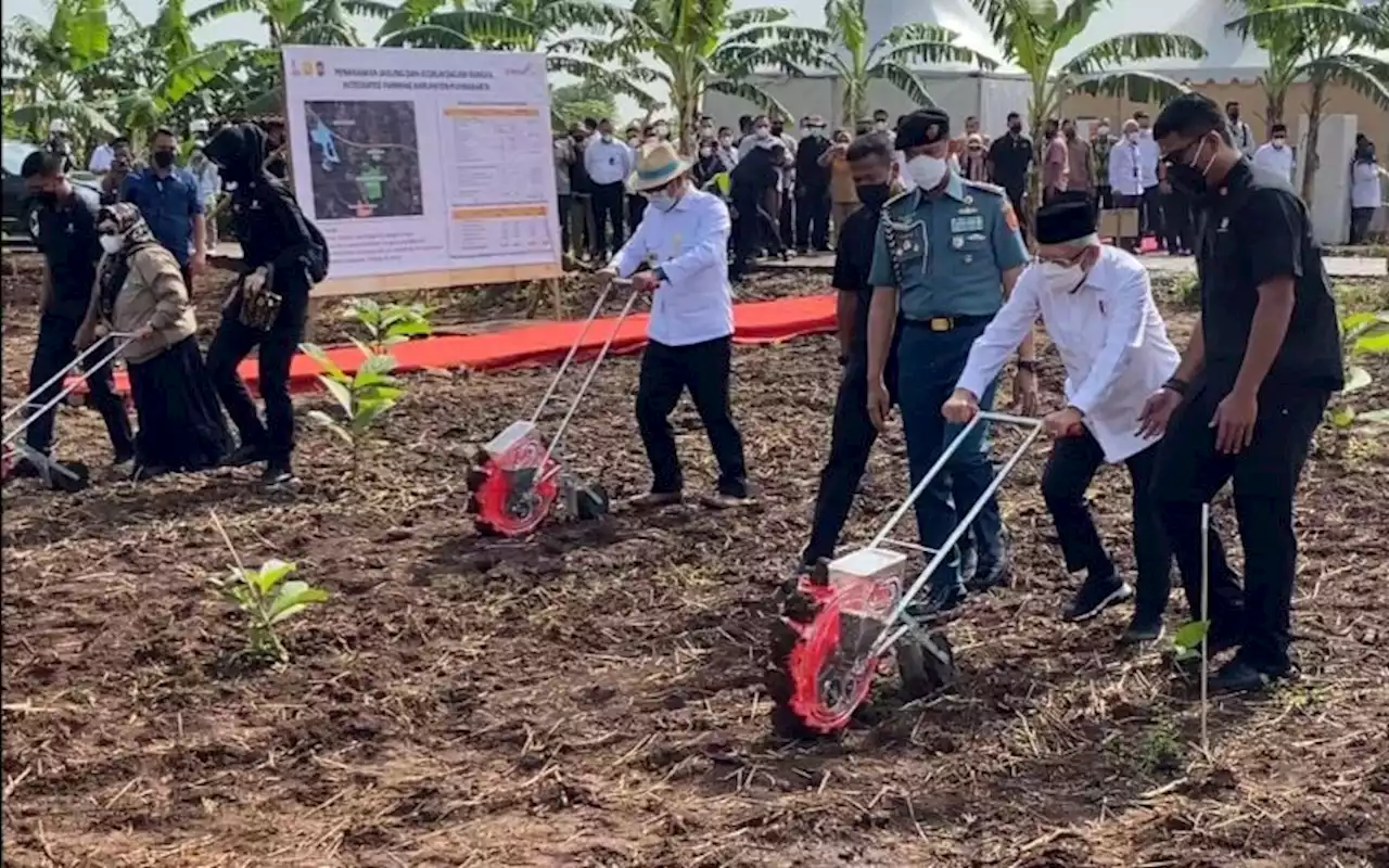 Wapres Tinjau Lokasi Program Integrated Farming di Purwakarta | Kabar24 - Bisnis.com