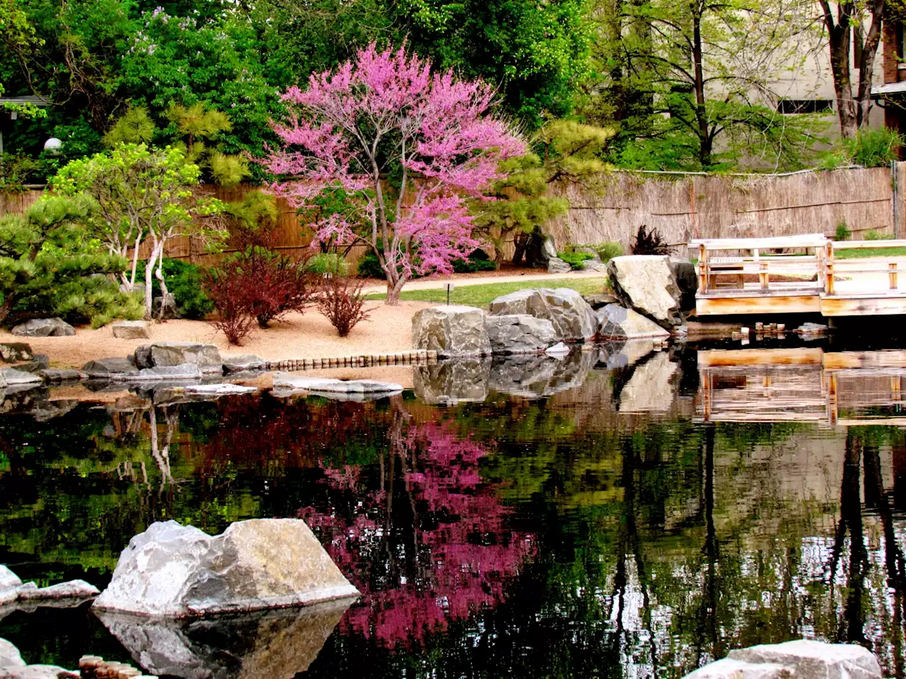 Human Arm Bone Found Under Japanese Garden At Denver Botanic Gardens