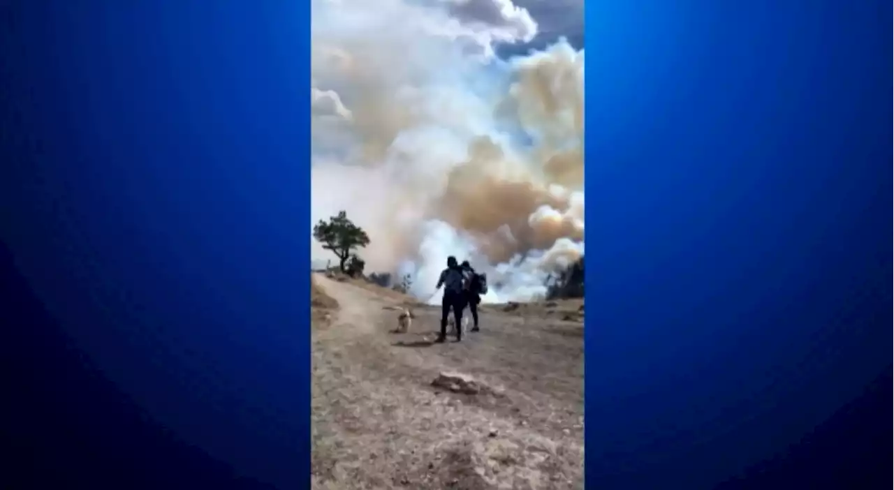 Man Who Evacuated For The Marshall Fire Filmed Close Call With NCAR Fire