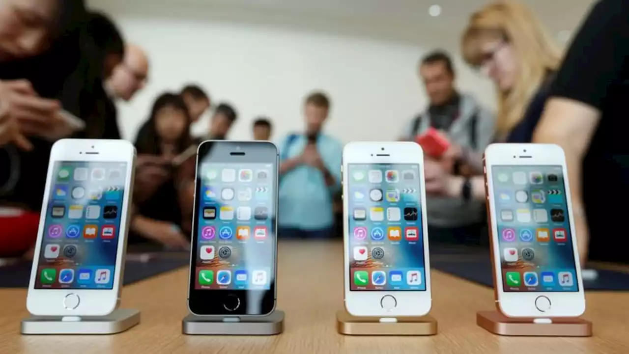 Apple to cut iPhone, AirPods output: Report