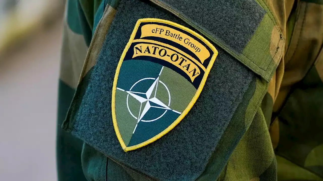 Starkt stöd för Nato-medlemskap bland företagare