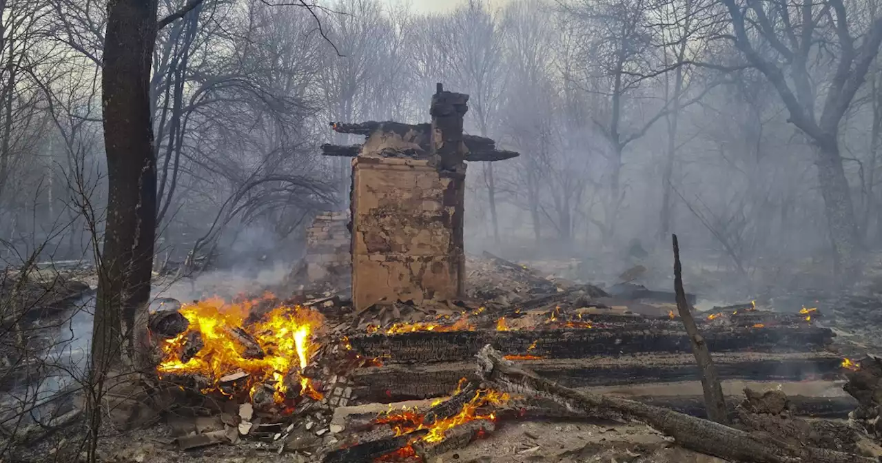 Russians drove through radioactive Red Forest by Chernobyl with no radioactive gear on