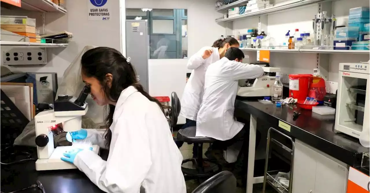 La UdeA terminó primera etapa de estudio clínico para prevención del alzhéimer