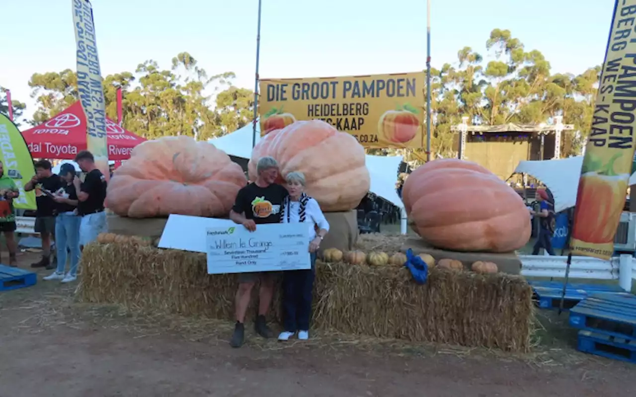 Spend time talking to it: Here's how you can grow SA's biggest pumpkin