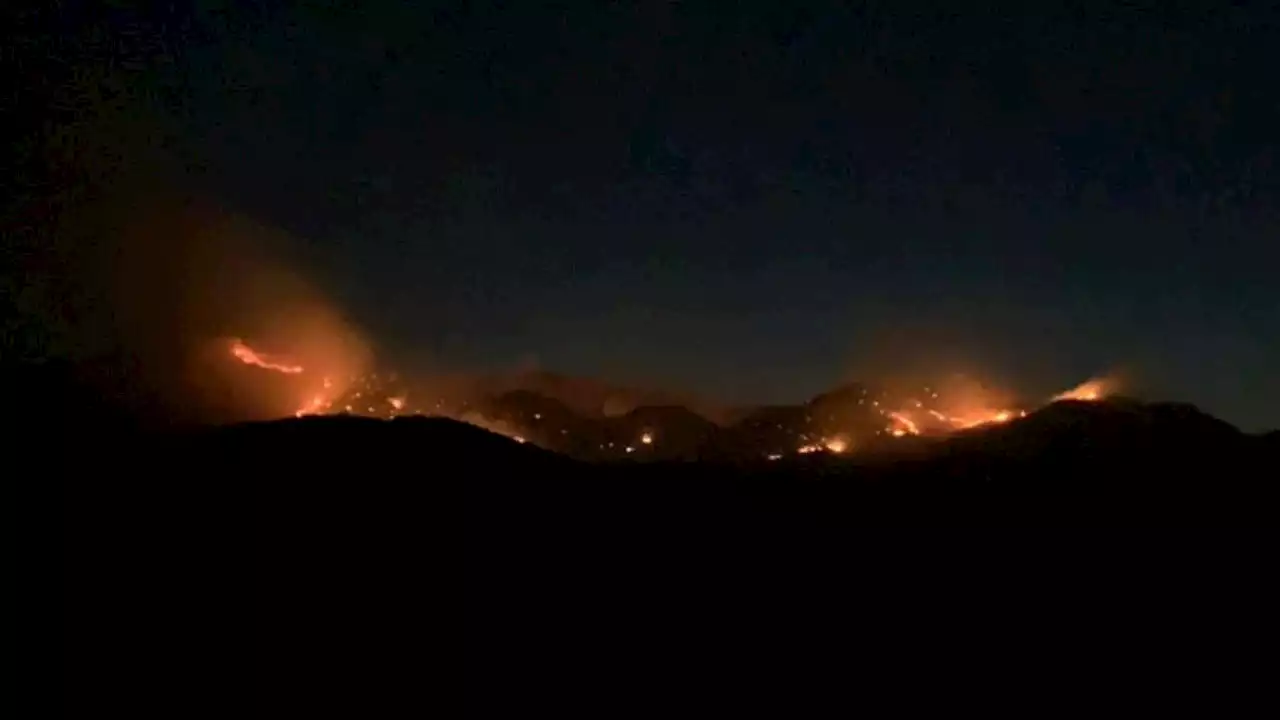 Southern Arizona wind-driven Presumido Fire grows to nearly a thousand acres