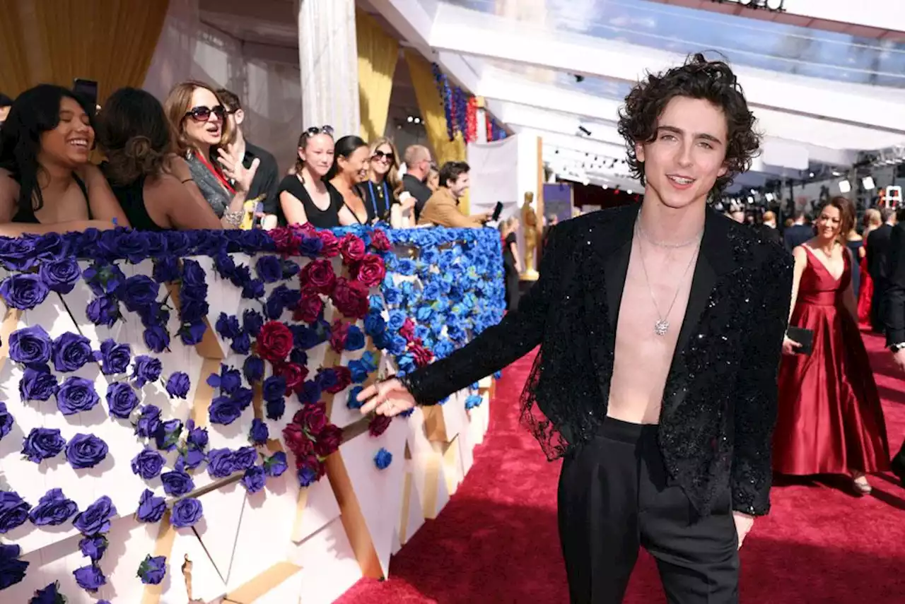 Timothée Chalamet bares chest at the Oscars with cropped Louis Vuitton jacket