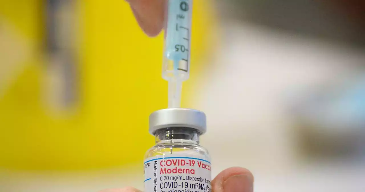 Explained: Ireland's Covid outbreak and if it's about to ruin summer plans
