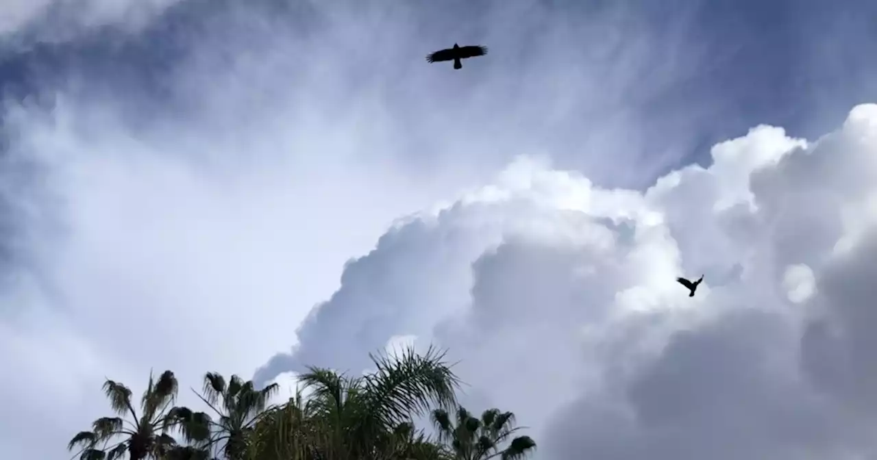 Pacific storm to hit San Diego County with rain on Monday