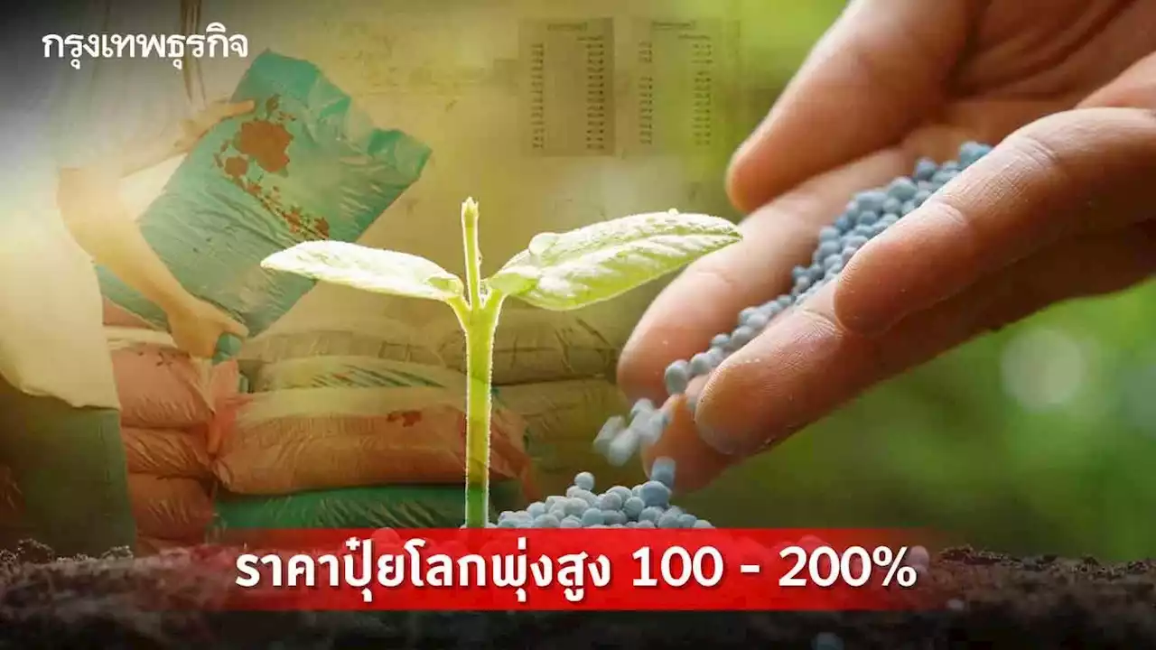 เปิดราคาปุ๋ยตลาดโลก พุ่ง 100-200% เกษตรกรเตรียมตัวรับปุ๋ยแพง