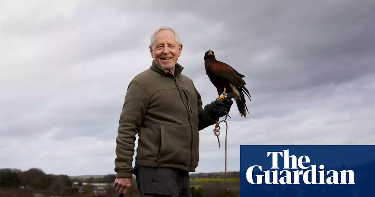 A new start after 60: I worked in a tiny office for 30 years – then I took up falconry and am out in rain, shine and cold’