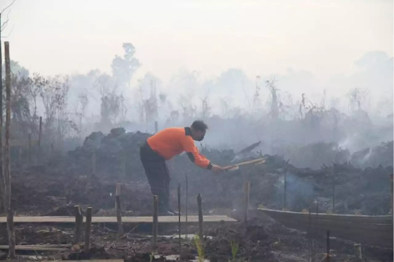 Guru Besar IPB: Pencegahan Karhutla Harus Ditekankan Melalui Pendekatan Sosial