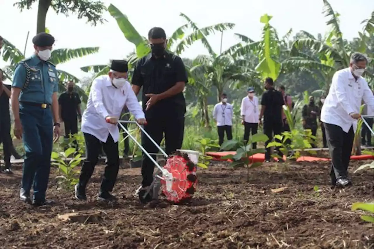 Wapres Ajak Masyarakat Bertani dengan Konsep Integrated Farming