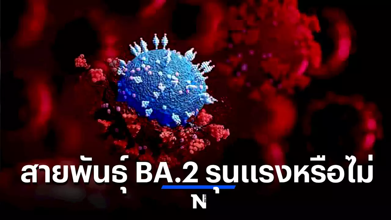 โอมิครอนสายพันธุ์ BA.2 ติดเชื้อง่ายขนาดไหน รุนแรงหรือไม่ ตรงนี้มีคำตอบ