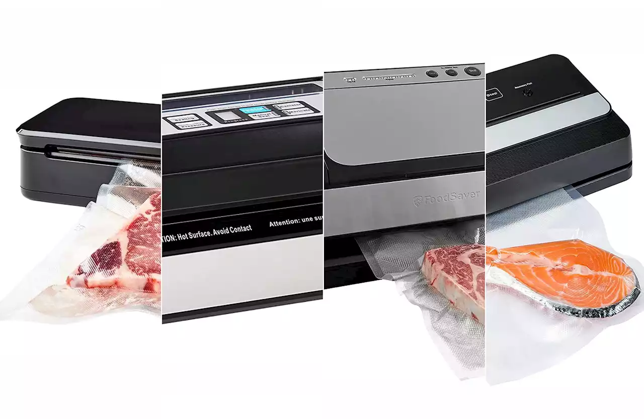 Best vacuum sealers of 2022