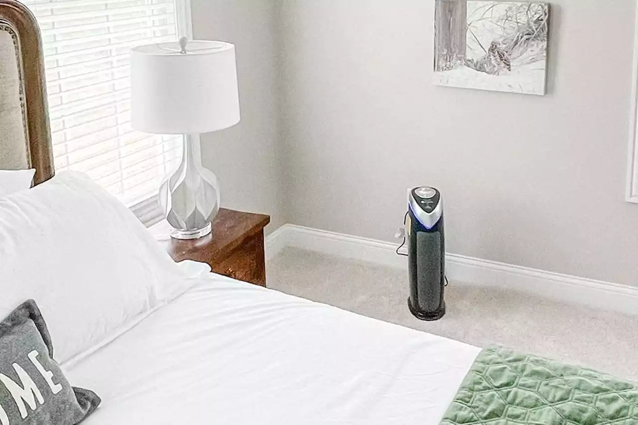 RS Recommends: The Best Air Purifiers for Large Rooms and Living Spaces