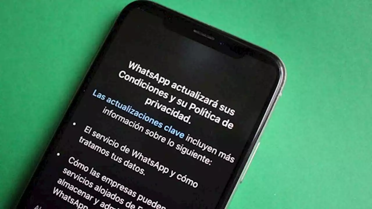 Nuevas políticas de privacidad de Whatsapp: prorrogan la prohibición para que las aplique