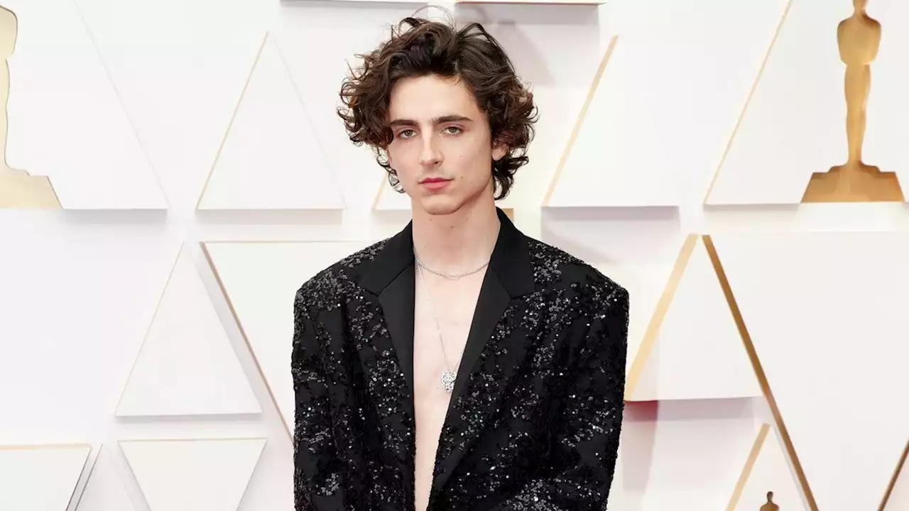 Timothée Chalamet Borrowed His Oscars Look From the Womenswear Runways